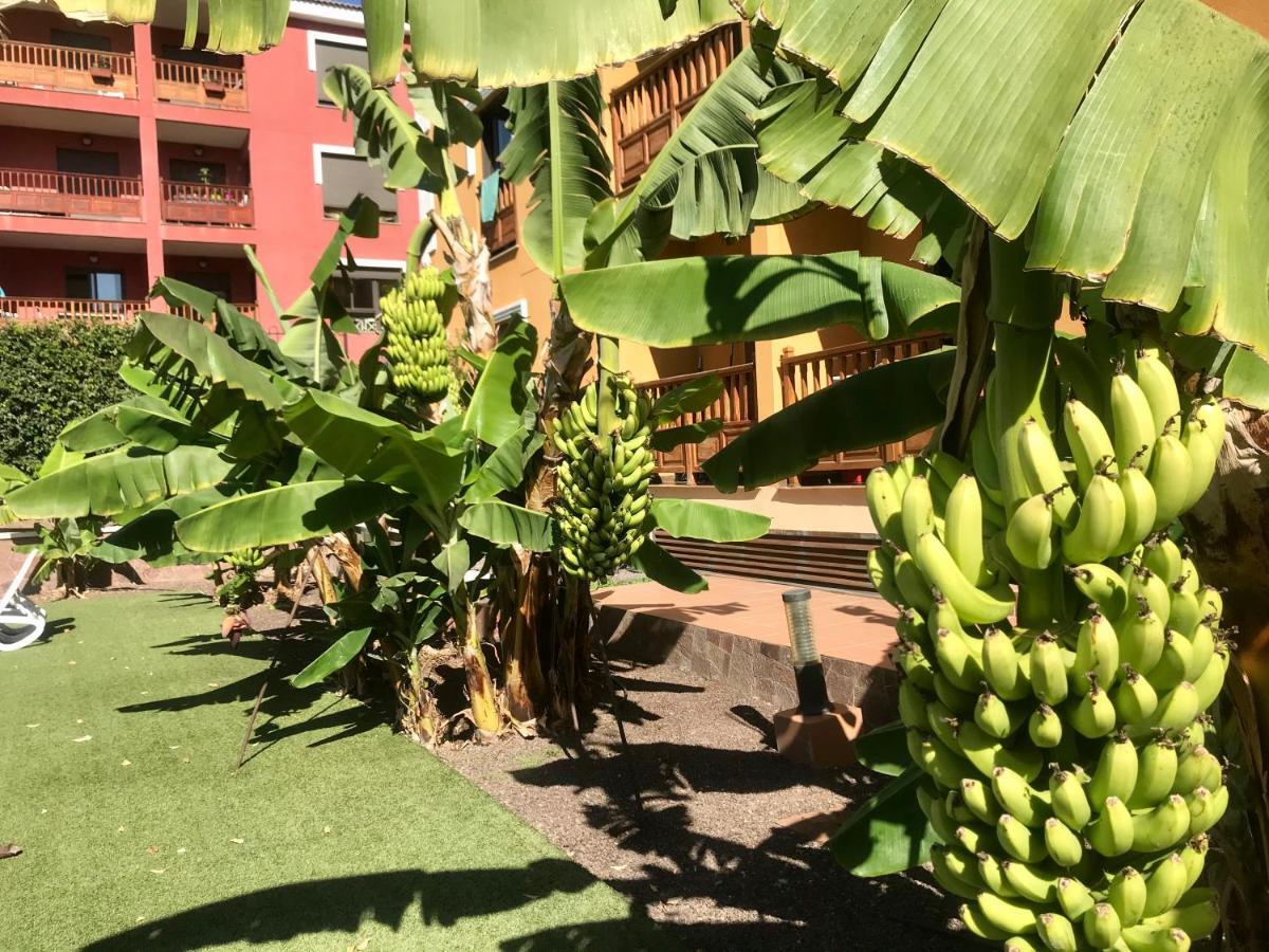 El Mocan Luxury Apartment Palm-mar Luaran gambar